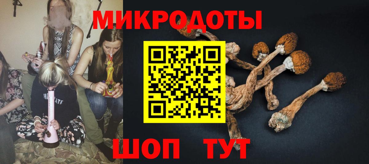 Галлюциногенные грибы GOLDEN TEACHER  Вход с VPN  Краснотурьинск 
